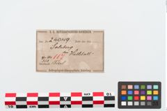Etiketten zu Bronzezweiknopffibel (NHMW-PRAE-024049)